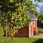 Camping & Glamping