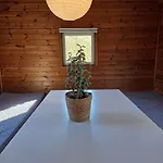 Campingplads & Glamping Nivå