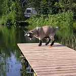 & Glamping Nivå