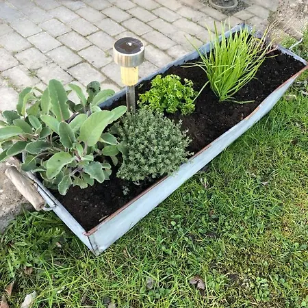 & Κάμπινγκ *