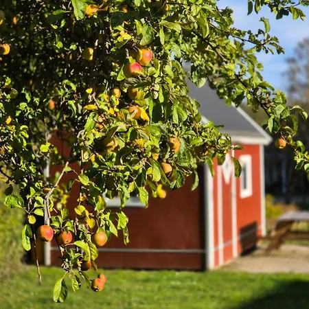 Campingplads & Glamping