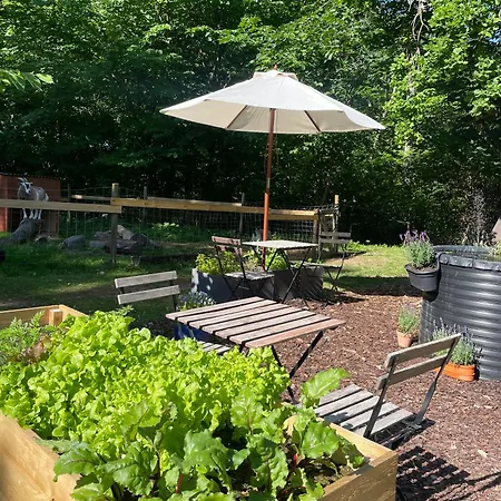 Campingplads & Glamping *