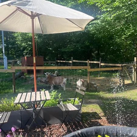 Campingplads & Glamping Nivå