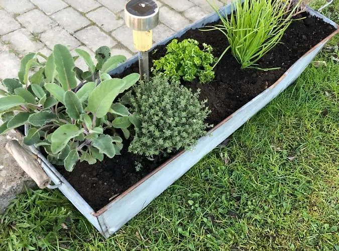 Niva Camping & Glamping Campingplatz *