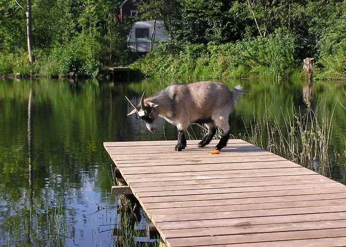 & Glamping Nivå