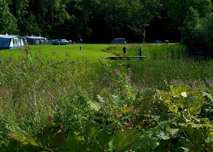 Niva Camping & Glamping *